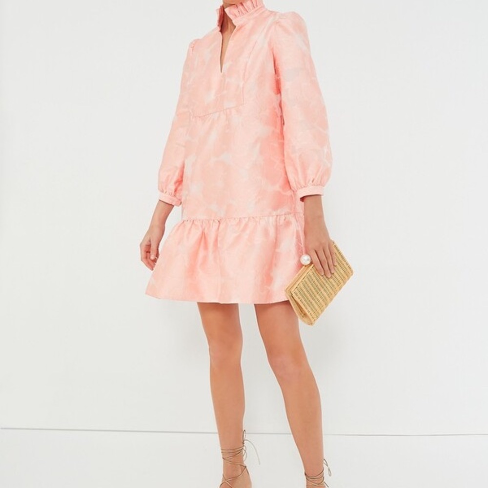 Tuckernuck Bellini Fil Coupe Palmerston Mini Dress